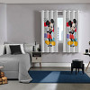 MICKEY COLORS